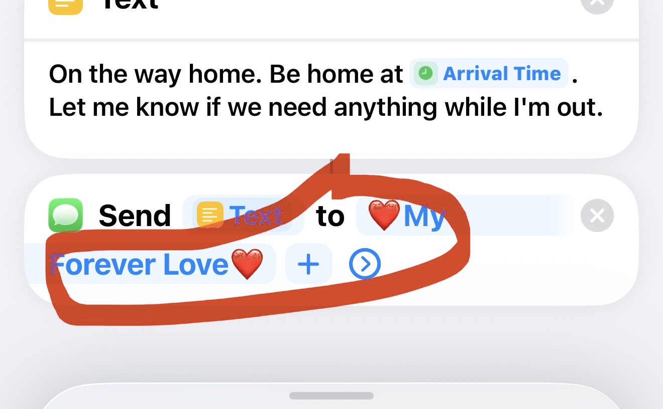 The Send Message action with the Text variable and a contact in it