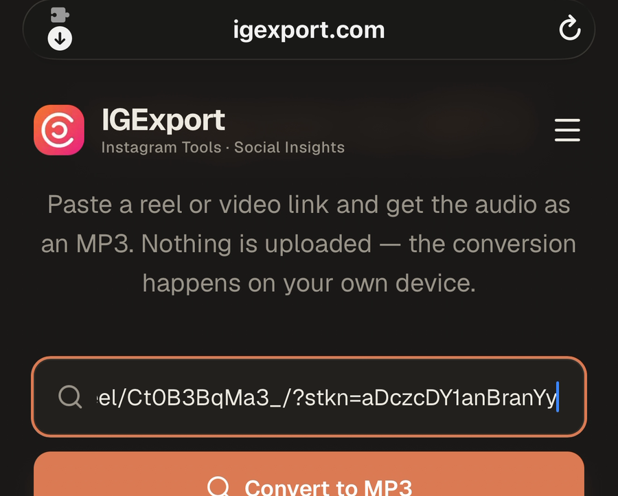 igexport.com in Safari with the reel link pasted in and Convert to MP3 marked