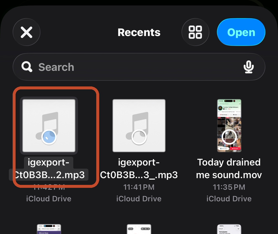 The Files app with the downloaded MP3 marked